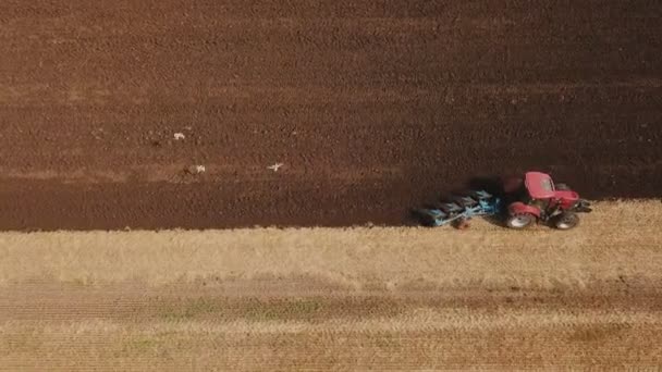 Traktor pflügt den Boden — Stockvideo
