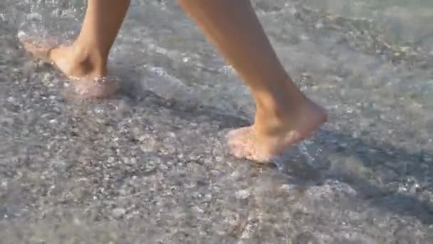 Женские ноги ходят по морю — стоковое видео