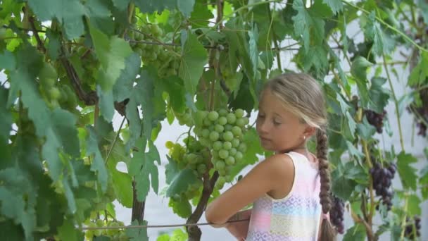 Menina comendo uvas — Vídeo de Stock