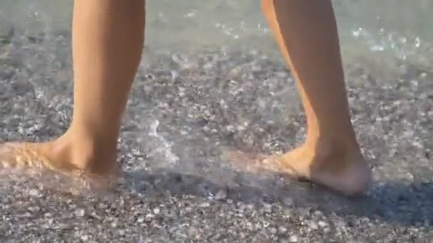 Female legs walk on the sea — Stock Video