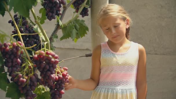 Дівчата їдять виноград — стокове відео