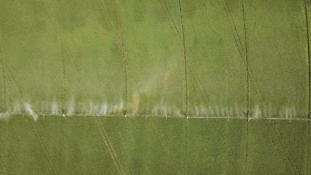 Benetzung des Bodens mit Hilfe der Bewässerung — Stockvideo