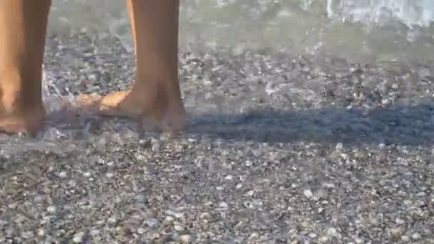 Female legs walk on the sea — Stock Video