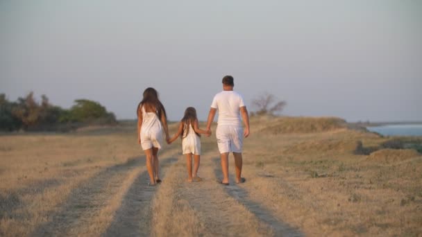 Anne baba ve kızı doğada yürümek — Stok video