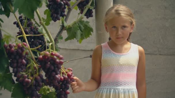 Girl eating grapes — Stock Video