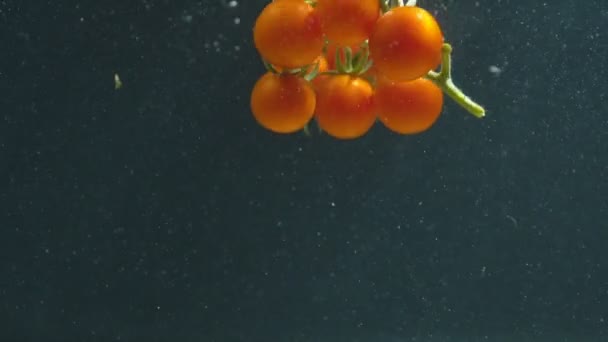 Rajčata pod vodou — Stock video