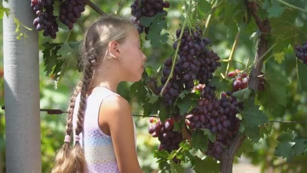 Gadis kecil makan anggur — Stok Video
