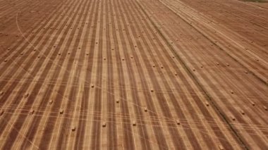 saman kare balyaları ile alan