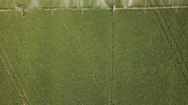 Alanın özel ekipmanlarla otomatik sulama