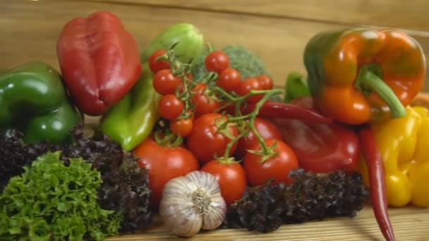 Domates, biber, sarımsak ve diğer sebzeler — Stok video