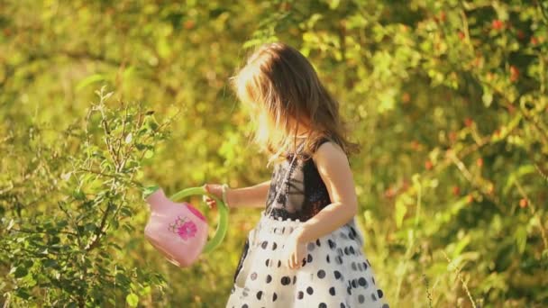 Kleines Mädchen gießt einen Baum — Stockvideo