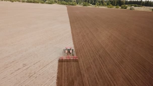 Tractor plows a field — Stock Video