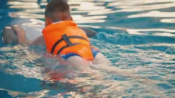 Αγόρι κολύμπι με δελφίνια στην πισίνα — Αρχείο Βίντεο
