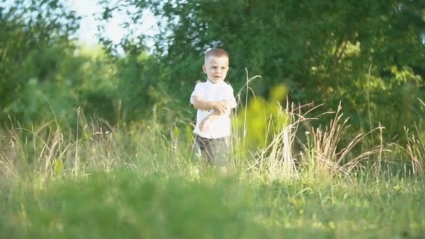 男孩跑过草坪 — 图库视频影像