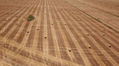 saman kare balyaları ile alan