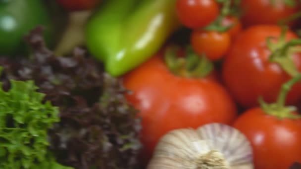 Brócolis, tomate, pimenta e salada — Vídeo de Stock