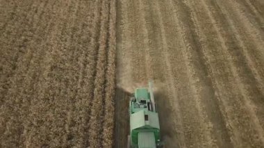 tahıl birleştirmek temizlik