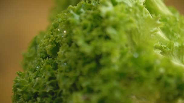 Салат овоч на дерев'яному підносі — стокове відео