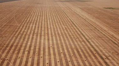 kübik formda toplanan saman ile alan