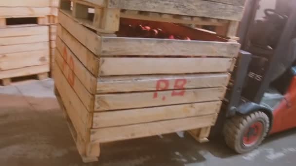 Trabajo del cargador en el almacenamiento de manzana — Vídeo de stock