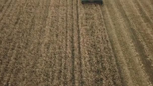 grain combiner nettoyage 