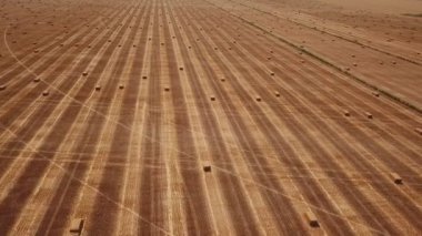 kübik formda toplanan saman ile alan