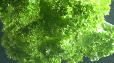 suda sebze yaprakları salata