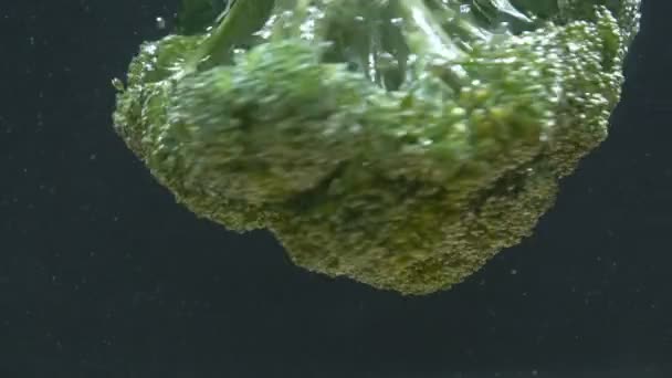 Broccoli falls into the water and swims — Stock Video