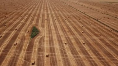 kübik formda toplanan saman ile alan