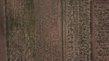 yükseklikten karpuz ile alan