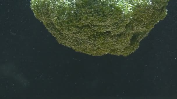 Broccoli faller i vattnet och simmar — Stockvideo
