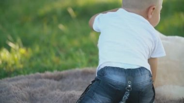 küçük çocuk yumuşak oyuncak ayılar ile oynar