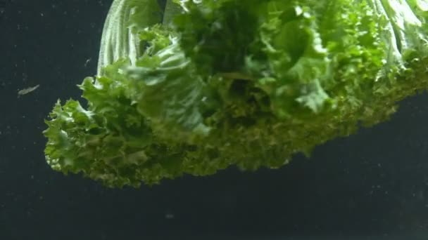 Groente laat salade in water — Stockvideo