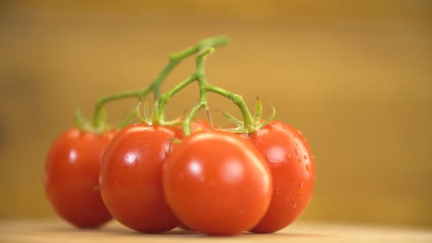Suporte de tomate em uma mesa giratória — Vídeo de Stock