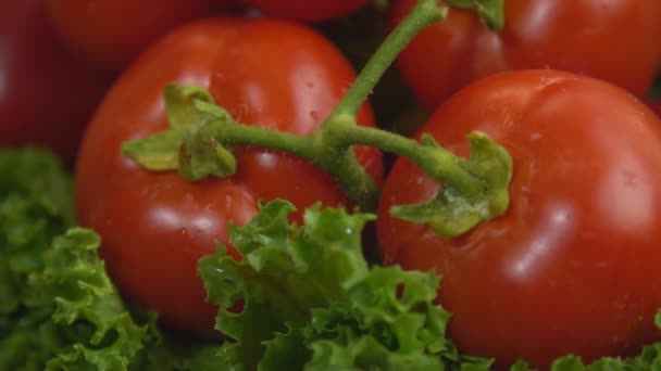 Pimentas, brócolis, tomates em uma mesa de fiação — Vídeo de Stock
