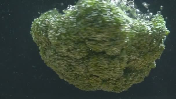 Broccoli valt in het water en zwemt — Stockvideo