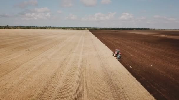 土地を耕すトラクターの上を飛び越える — ストック動画