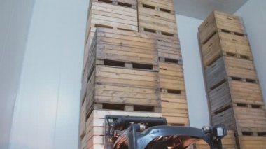 yükleyici elmalı kutuları aktarır