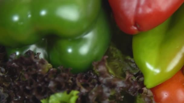 Tomates, pimentos e brócolos — Vídeo de Stock