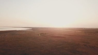 İnekler gün batımında gökyüzünde otlar.