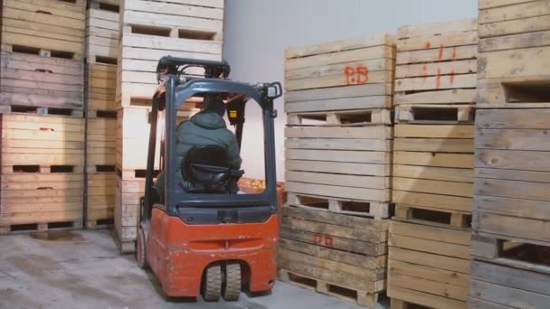 Loader rearranges boxes with apples — Stock Video