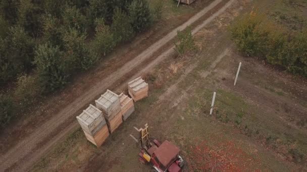 Traktor pohybuje velké dřevěné bedny — Stock video