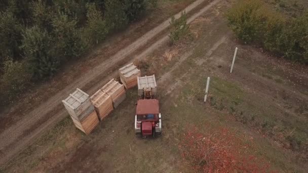 거대 한 나무 상자를 운반하는 트랙터 — 비디오