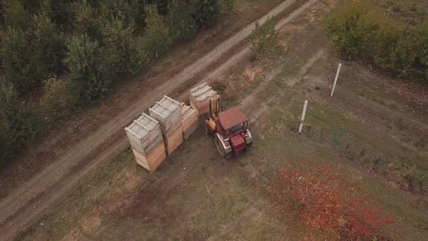 Traktor pohybuje velké dřevěné bedny — Stock video