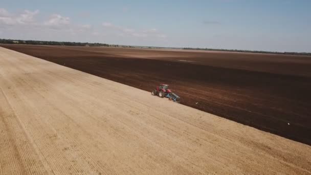 Tractor plows the land with a plow — Stock Video