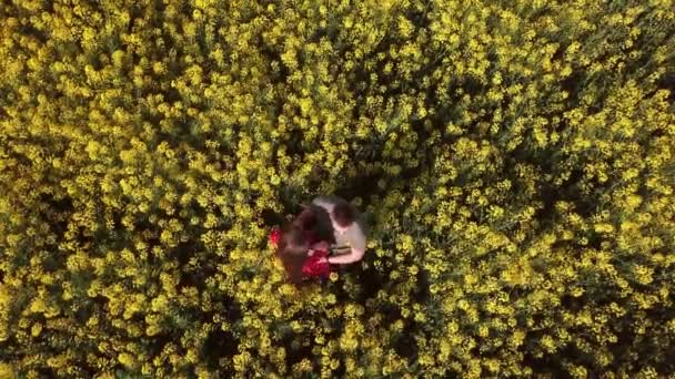 Pareja en un campo con flor de colza — Vídeos de Stock