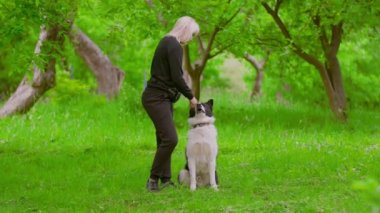 Köpek bakıcısı köpek eğitir.