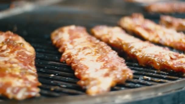 Costilla frita en la hoguera — Vídeo de stock