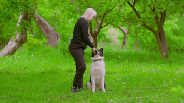 Hundeführer trainiert Hund — Stockvideo