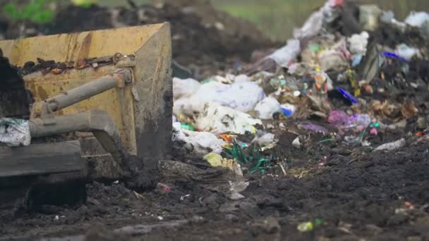 Bruco bulldozer spinge spazzatura in un mucchio — Video Stock